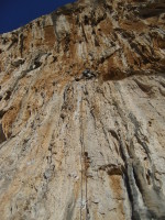 SNV80472.JPG